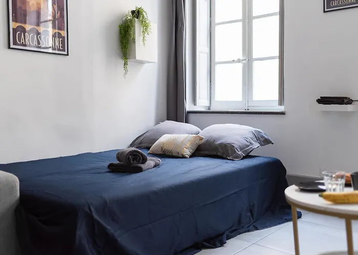 Confortable Et Spacieux Apartament Carcassonne